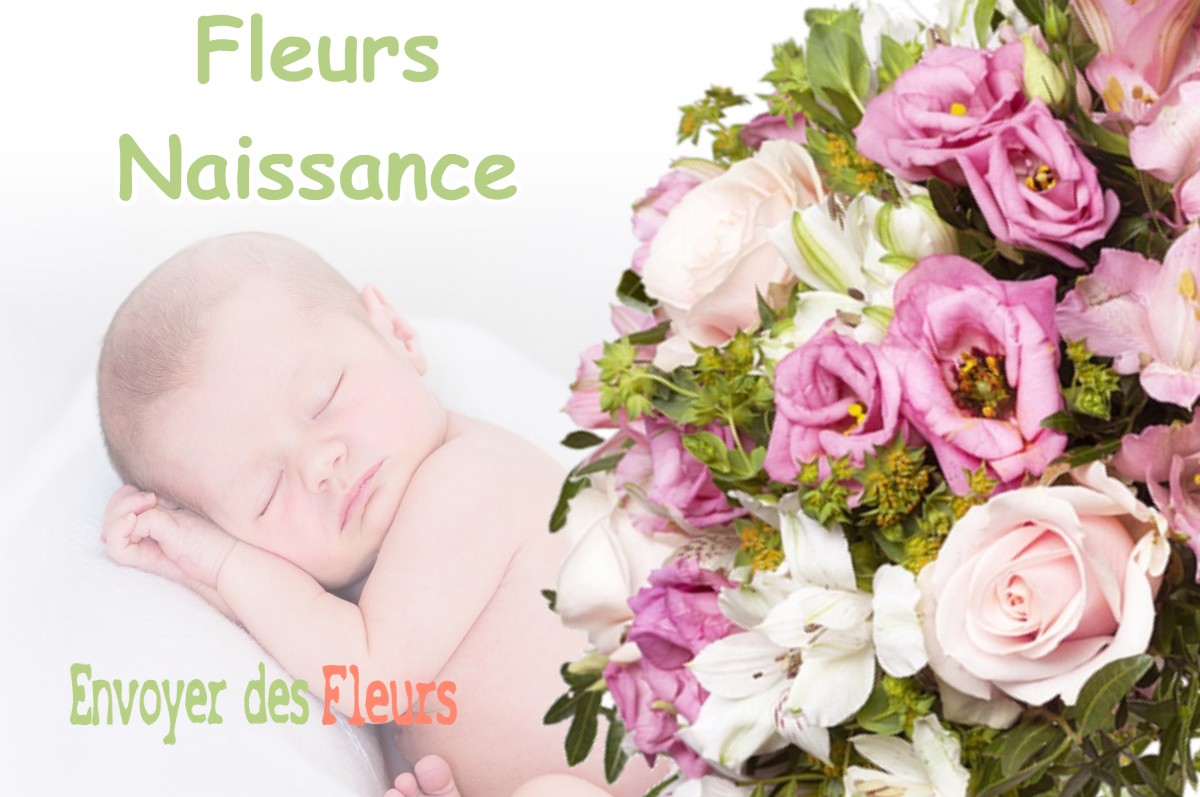 lIVRAISON FLEURS NAISSANCE à CUNEL